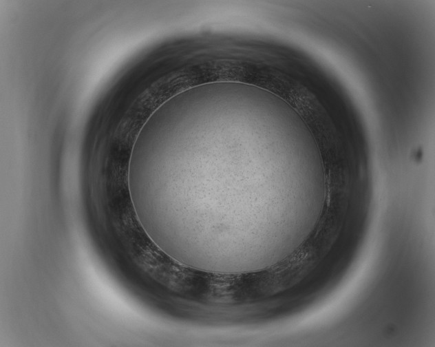 X0000113280190200909211048