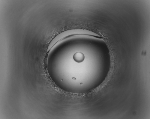 X0000113280192200909211048