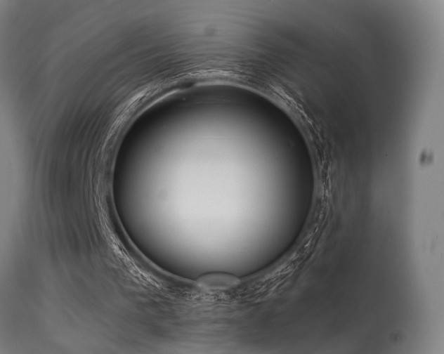 X0000113280193200909211048