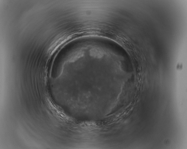 X0000113280194200909211048