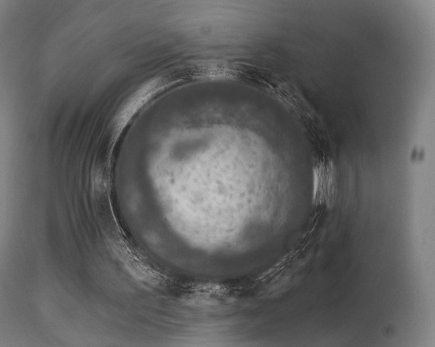 X0000113280195200909211048