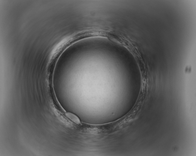 X0000113280197200909211048