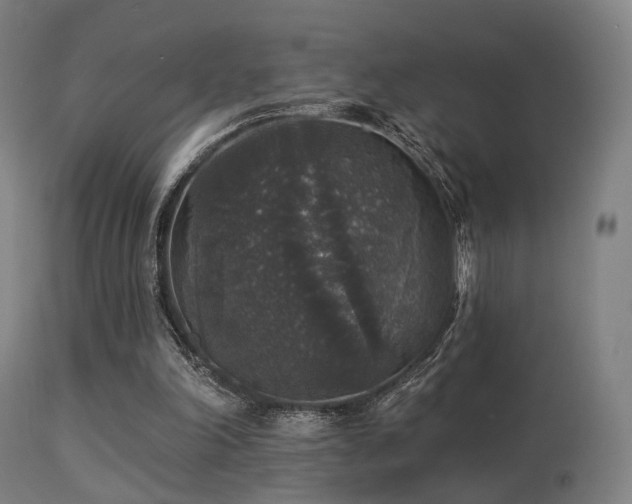 X0000113280198200909211048