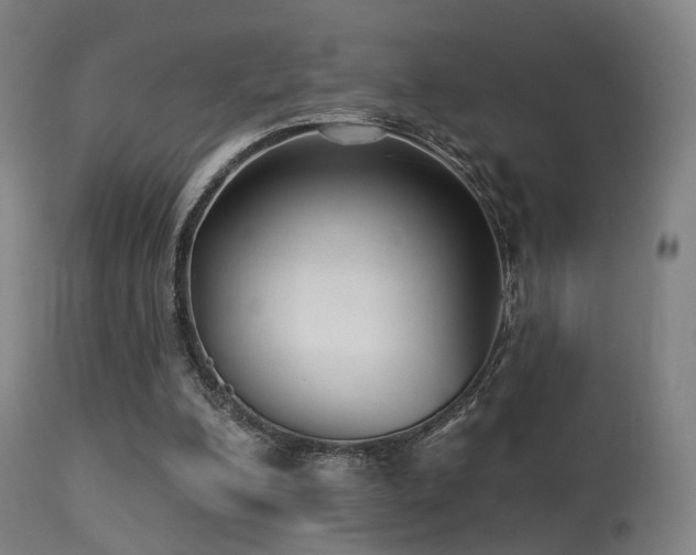 X0000113280200200909211048