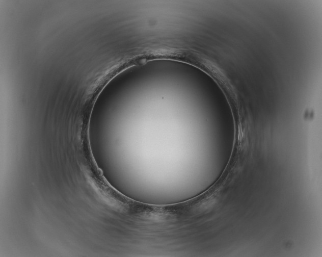 X0000113280201200909211048