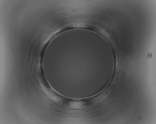 X0000113280202200909211048