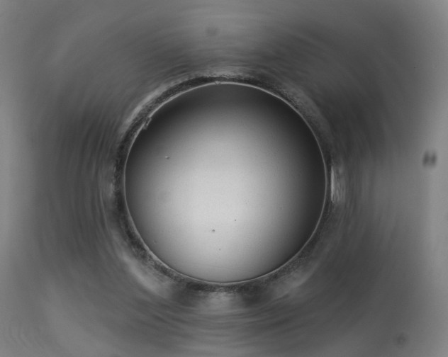 X0000113280204200909211047