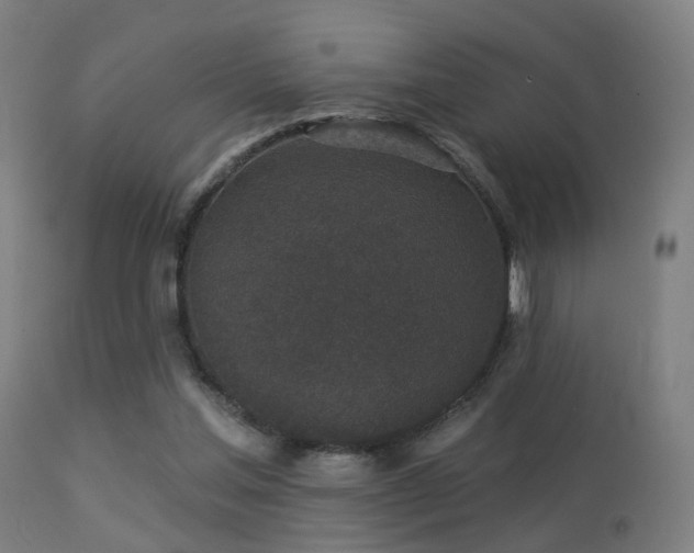 X0000113280205200909211047