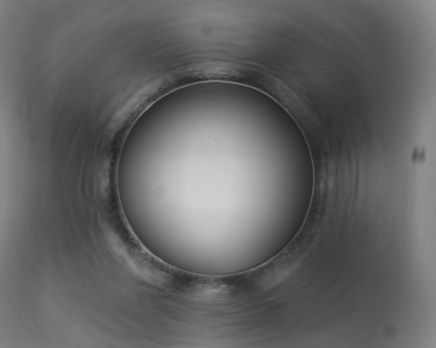 X0000113280206200909211047