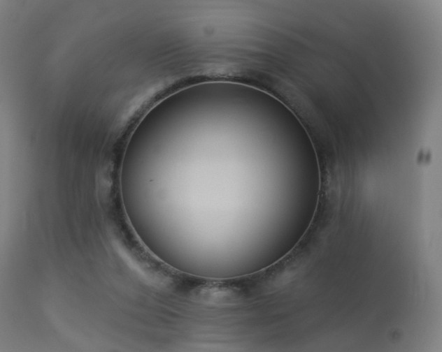 X0000113280208200909211047