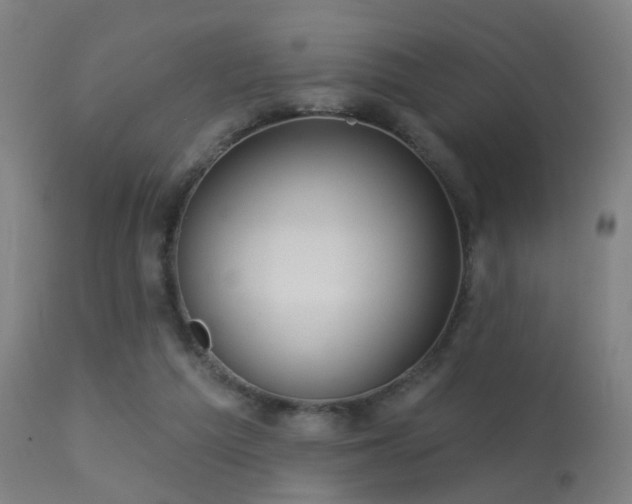 X0000113280209200909211047