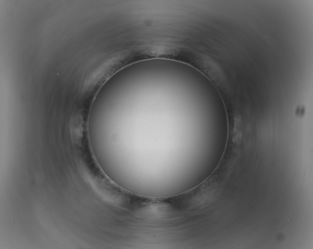 X0000113280210200909211047