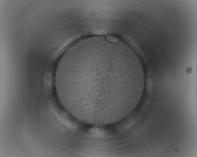 X0000113280211200909211047