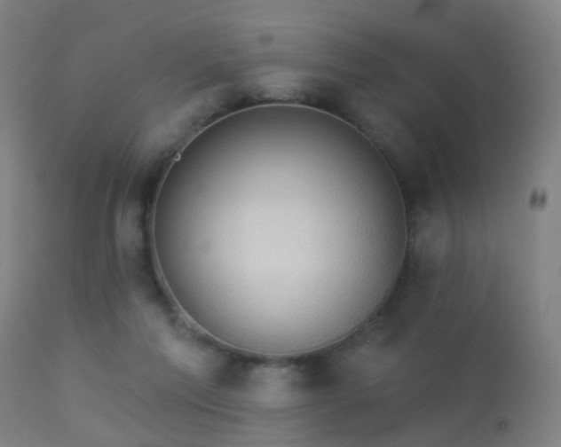 X0000113280213200909211047