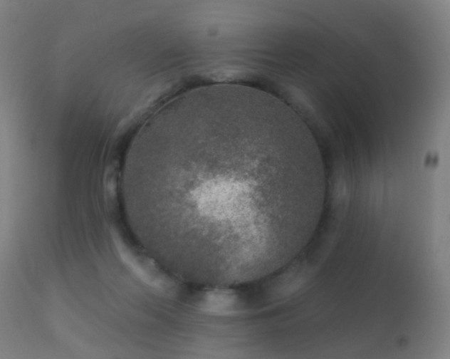 X0000113280214200909211047