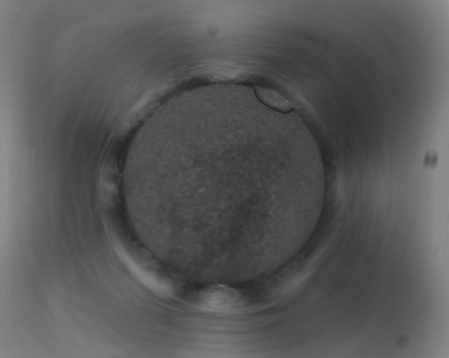 X0000113280215200909211047