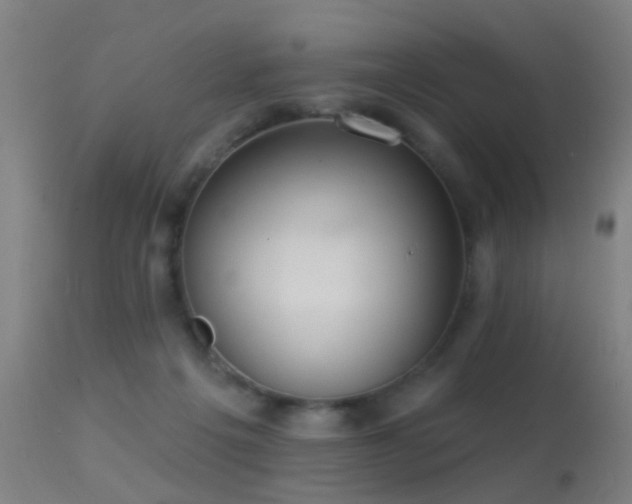 X0000113280217200909211047