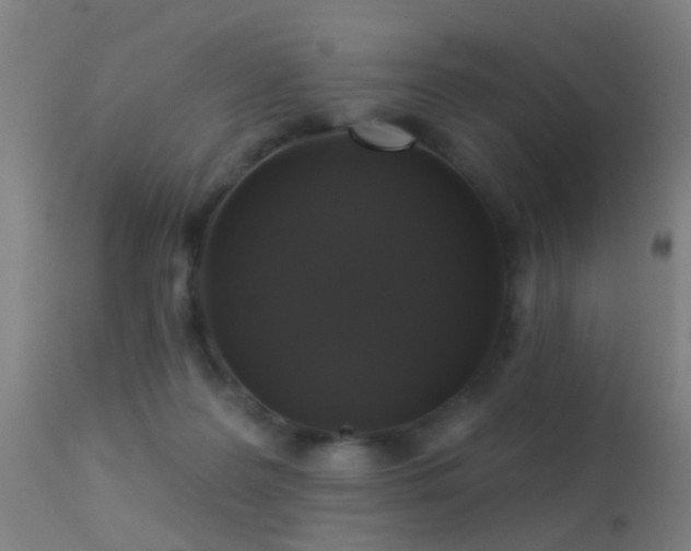 X0000113280219200909211047