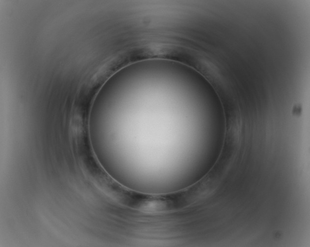 X0000113280220200909211047