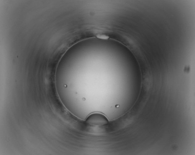 X0000113280221200909211047