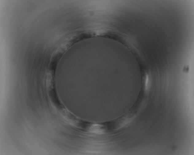 X0000113280222200909211047