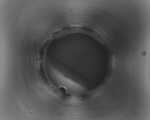 X0000113280223200909211047