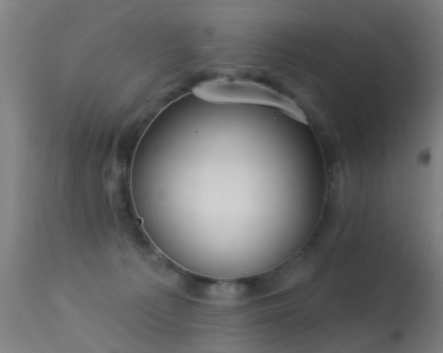 X0000113280225200909211047