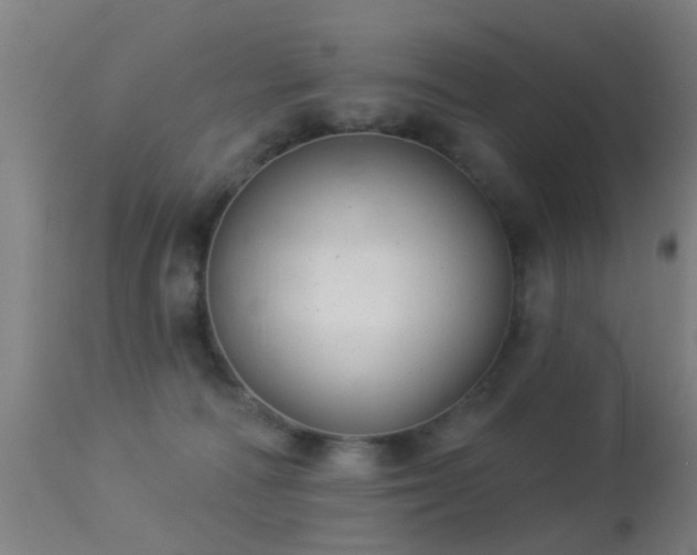 X0000113280226200909211047