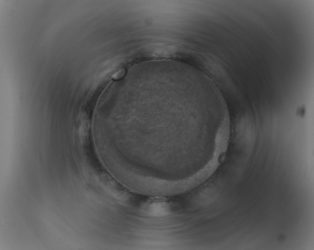 X0000113280228200909211047