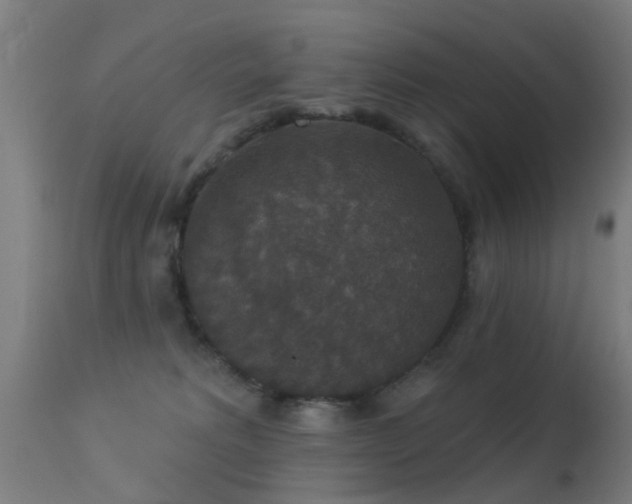 X0000113280229200909211047