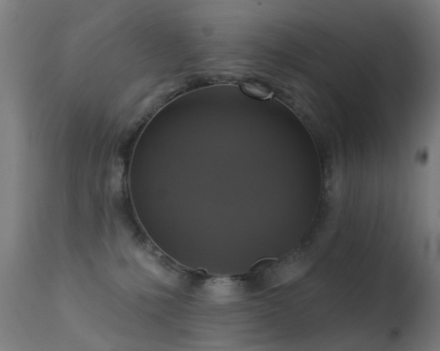 X0000113280231200909211047