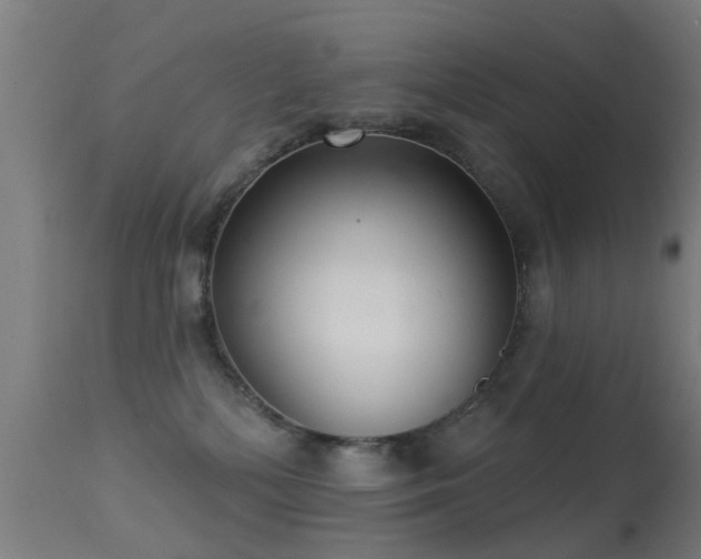 X0000113280232200909211047