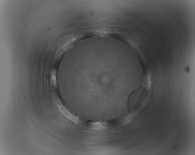 X0000113280238200909211047