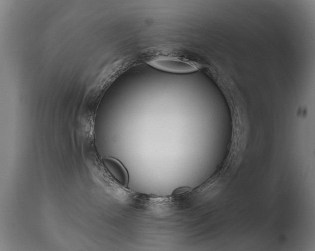 X0000113280240200909211047