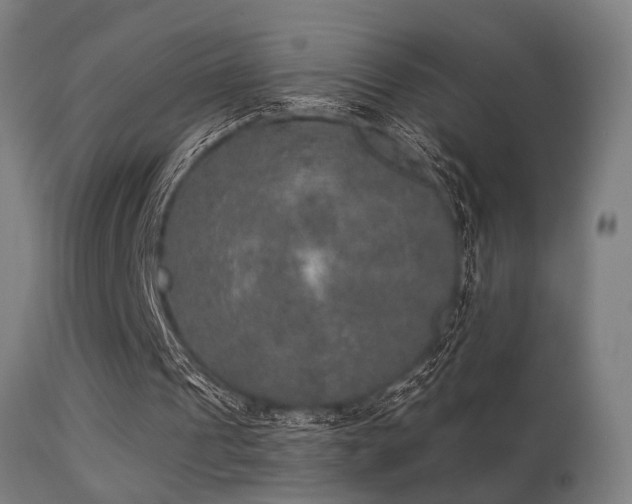 X0000113280241200909211046