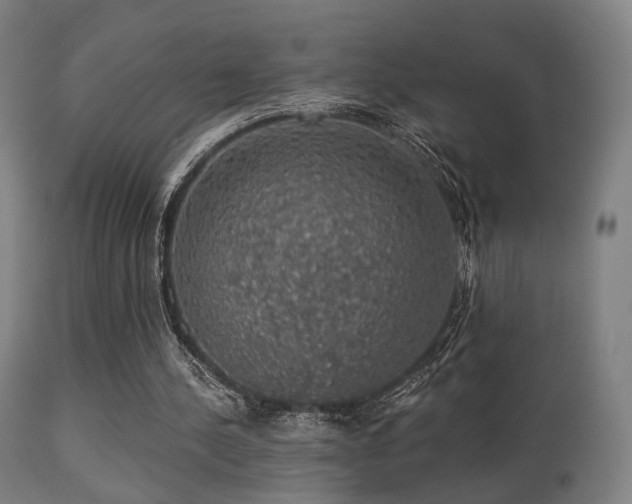 X0000113280244200909211046