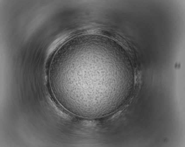 X0000113280245200909211046