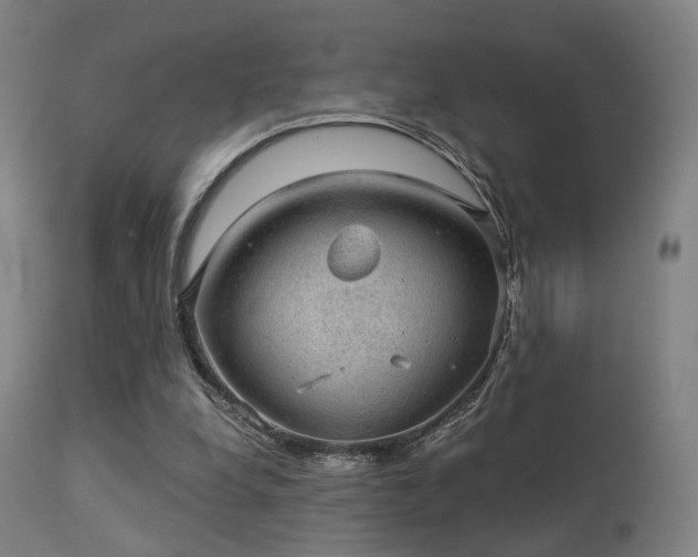 X0000113280248200909211046