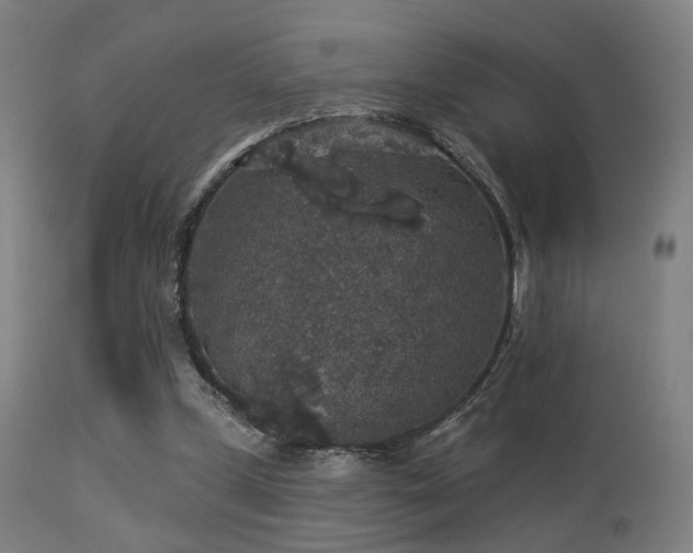 X0000113280249200909211046