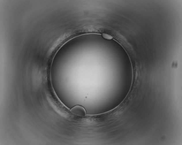 X0000113280250200909211046