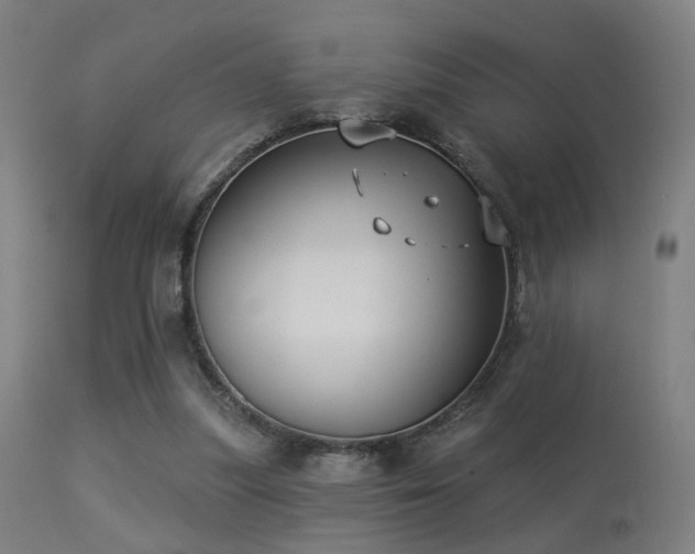 X0000113280251200909211046