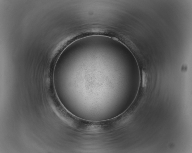 X0000113280252200909211046