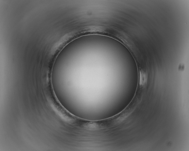 X0000113280253200909211046