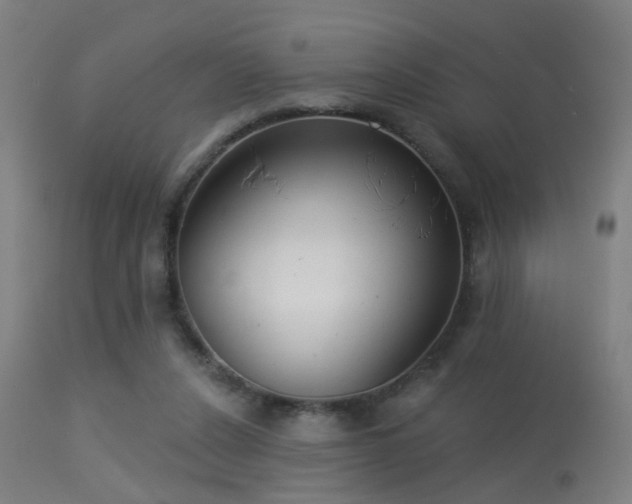 X0000113280256200909211046