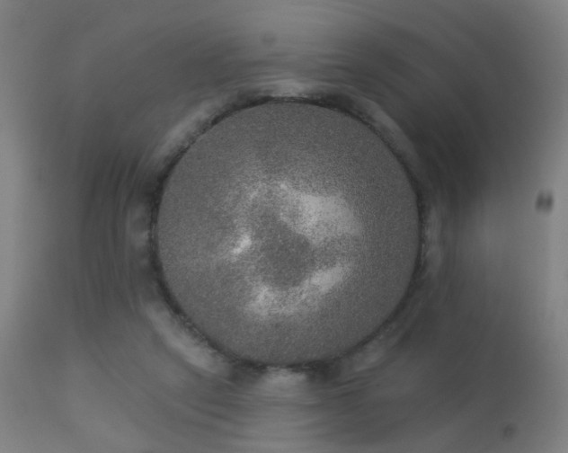 X0000113280257200909211046