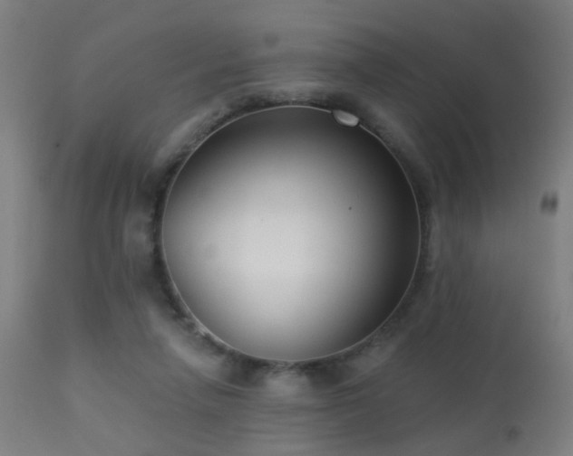 X0000113280258200909211046