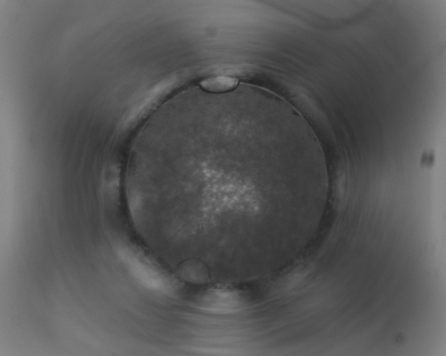 X0000113280260200909211046