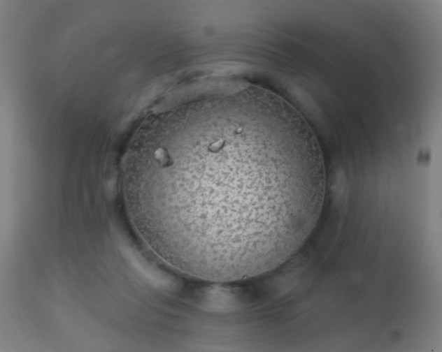 X0000113280261200909211046