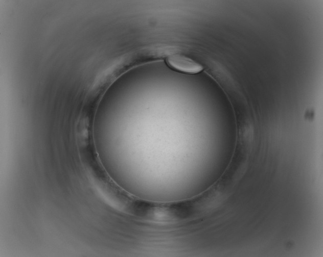 X0000113280264200909211046