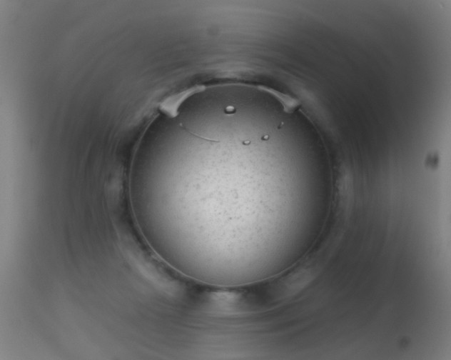 X0000113280265200909211046